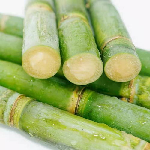 桂林山水甲天下，廣西綠皮甘蔗鮮天下 當季整箱批發，孕婦食之安全